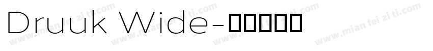 Druuk Wide字体转换